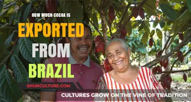 Brazil's Cocoa Exports: Unveiling the Global Trade and Economic Impact