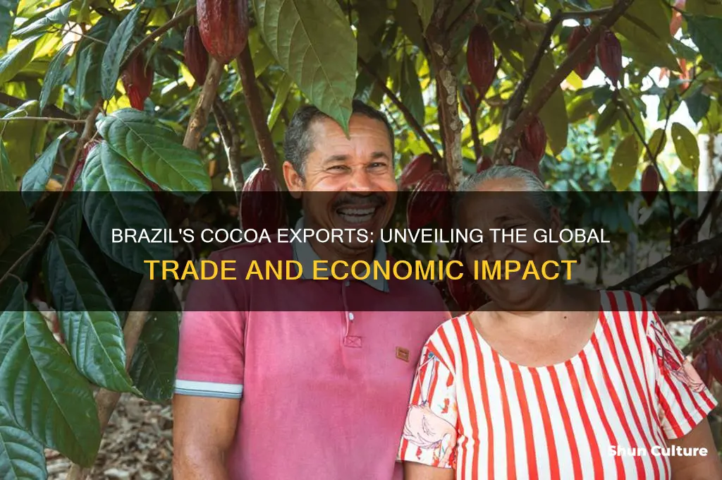 how much cocoa is exported from brazil