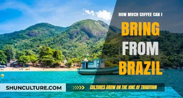 Bringing Brazilian Coffee Home: Your Guide to Travel Limits