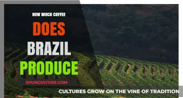 Brazil's Coffee Production: A Global Leader's Massive Output Explained