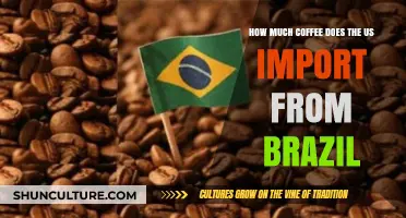 US Coffee Imports: Brazil's Role in America's Daily Brew