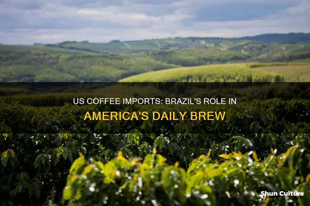 how much coffee does the us import from brazil