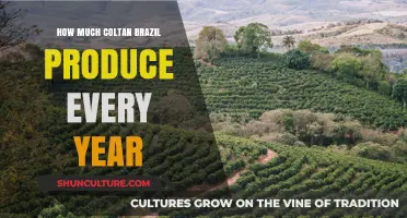 Brazil's Annual Coltan Production: Unveiling the Country's Output Statistics