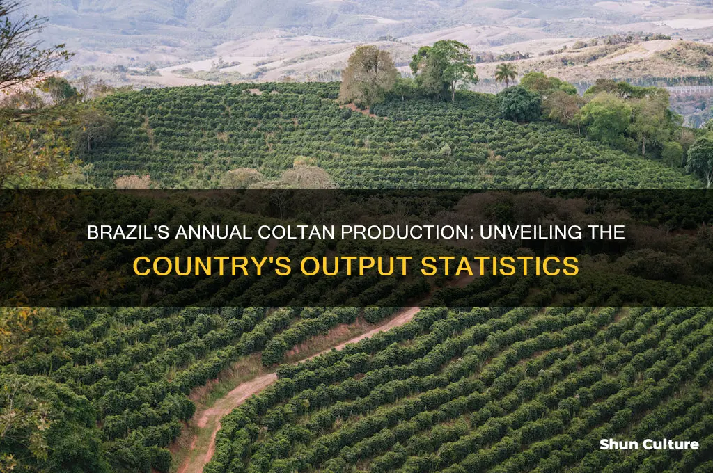 how much coltan brazil produce every year
