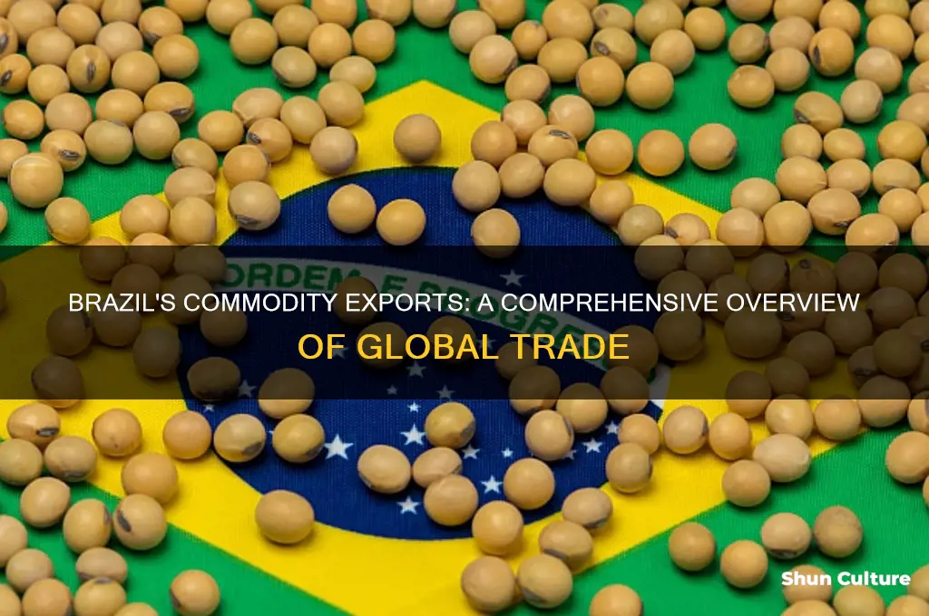 how much comodoties does brazil export