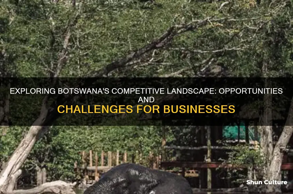 how much competition is in botswana