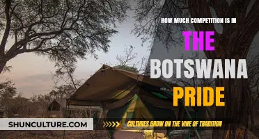 Botswana Pride Competition: Understanding the Dynamics and Challenges