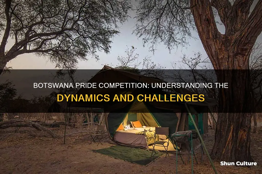how much competition is in the botswana pride