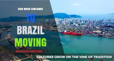 Moving to Brazil: Choosing the Right Container Size for Your Relocation