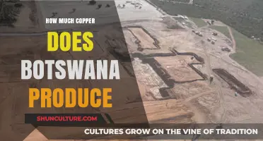 Botswana's Copper Production: Output, Impact, and Global Standing