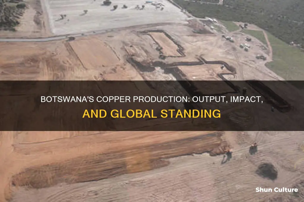 how much copper does botswana produce