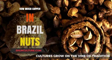 Copper Content in Brazil Nuts: Uncovering Nutritional Benefits and Facts