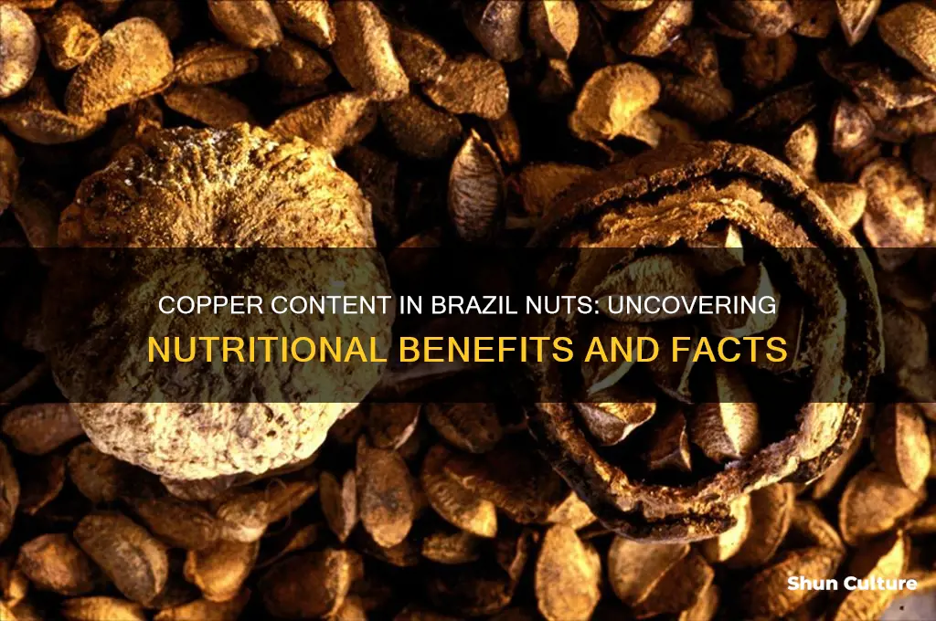 how much copper in brazil nuts