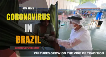 Brazil's COVID-19 Surge: Tracking Coronavirus Cases and Impact Nationwide