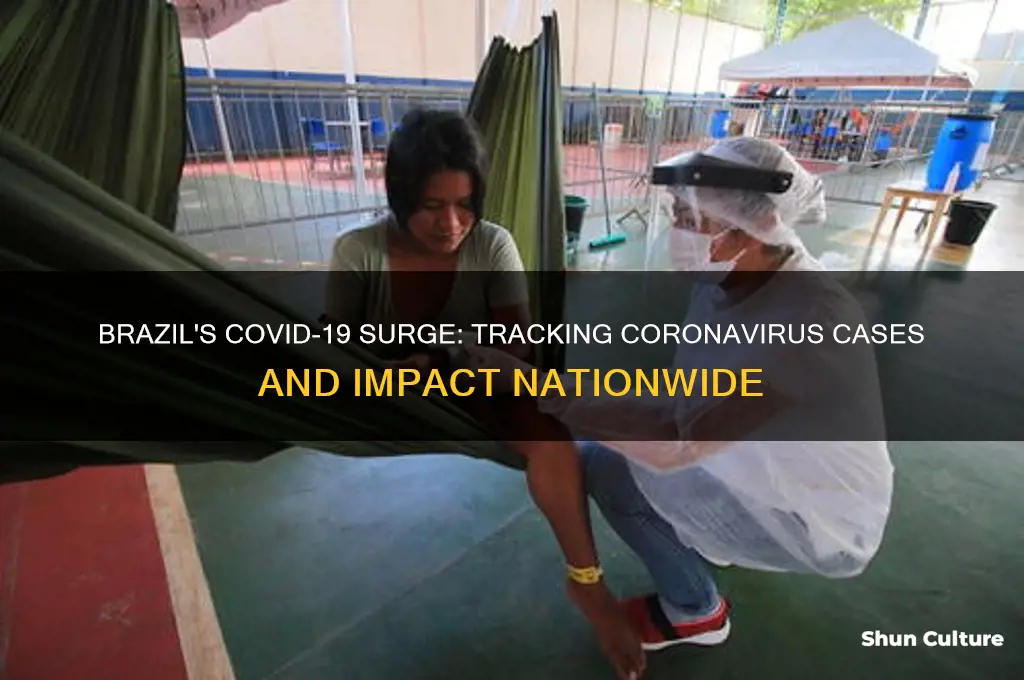 how much coronavirus in brazil