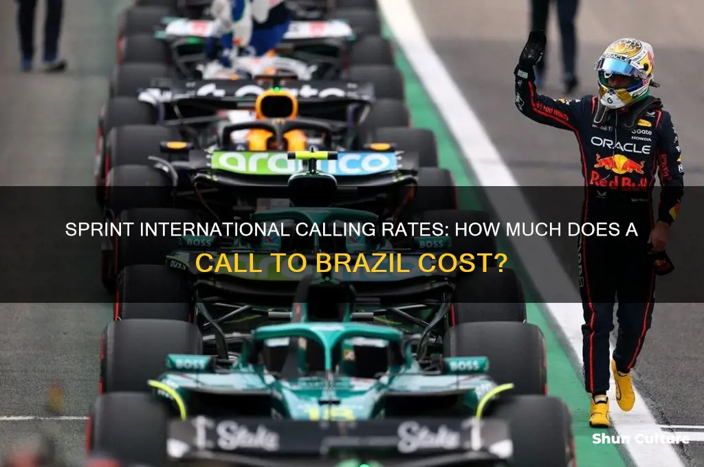 how much cost call brazil sprint