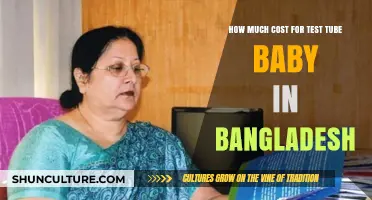 Test Tube Baby Cost in Bangladesh: Affordable IVF Treatment Options