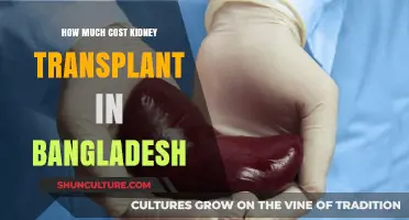 Kidney Transplant Cost in Bangladesh: Affordable Treatment Options Revealed