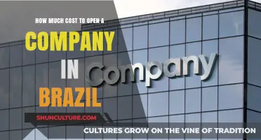 Opening a Company in Brazil: Understanding the Costs and Requirements