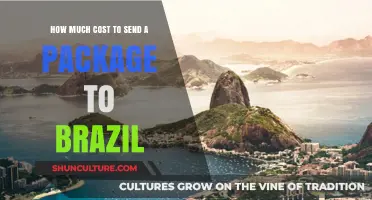 Shipping to Brazil: Understanding Package Costs and Fees