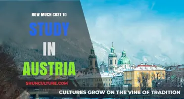 A Comprehensive Guide: Studying in Austria's Cost Breakdown