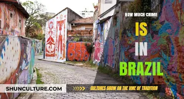 Brazil's Crime Rates: Unveiling the Reality and Safety Concerns