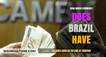 Understanding Brazil's Currency Circulation: How Much Money Exists in the Economy?