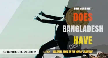 Bangladesh's Debt Crisis: Understanding the Country's Financial Obligations