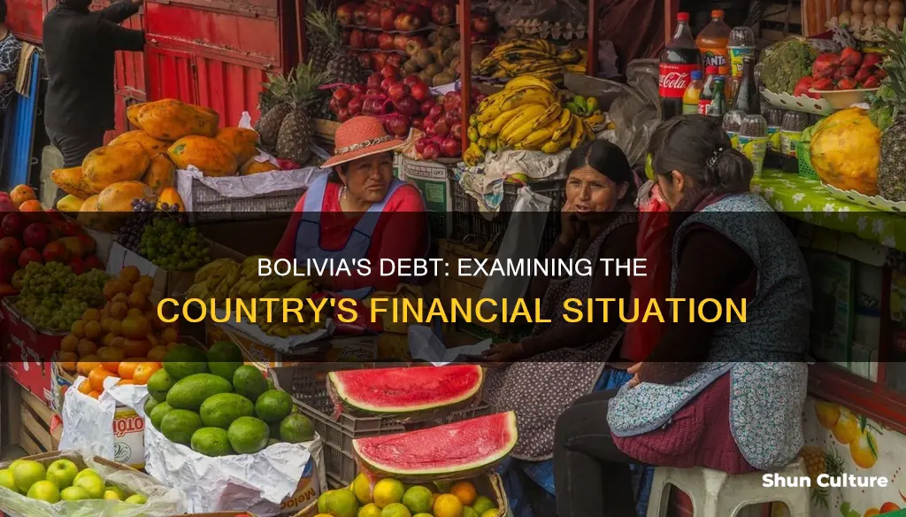 how much debt does bolivia have