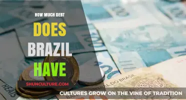 Brazil's Debt Crisis: Understanding the Country's Financial Obligations