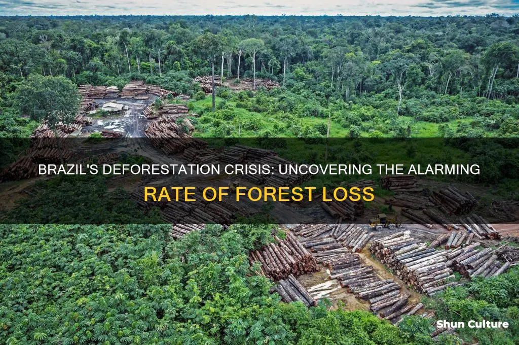 how much deforestation happens in brazil