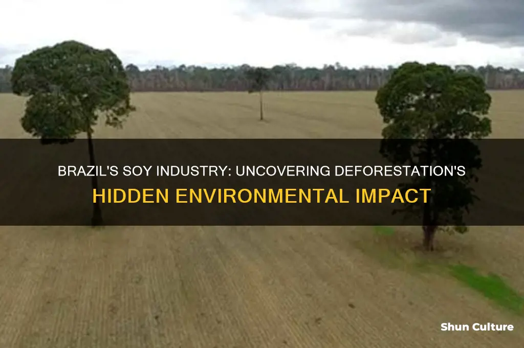 how much deforestation in brazil caused by soy
