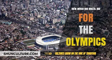 Brazil's Olympic Bid: Unveiling the Cost of Hosting the Games