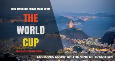 Brazil's World Cup Revenue: A Financial Breakdown of the Tournament