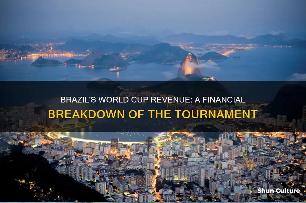 how much did brazil make from the world cup