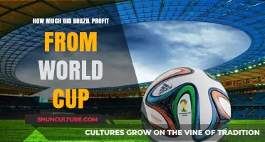 Brazil's World Cup Profits: A Financial Breakdown of the Tournament
