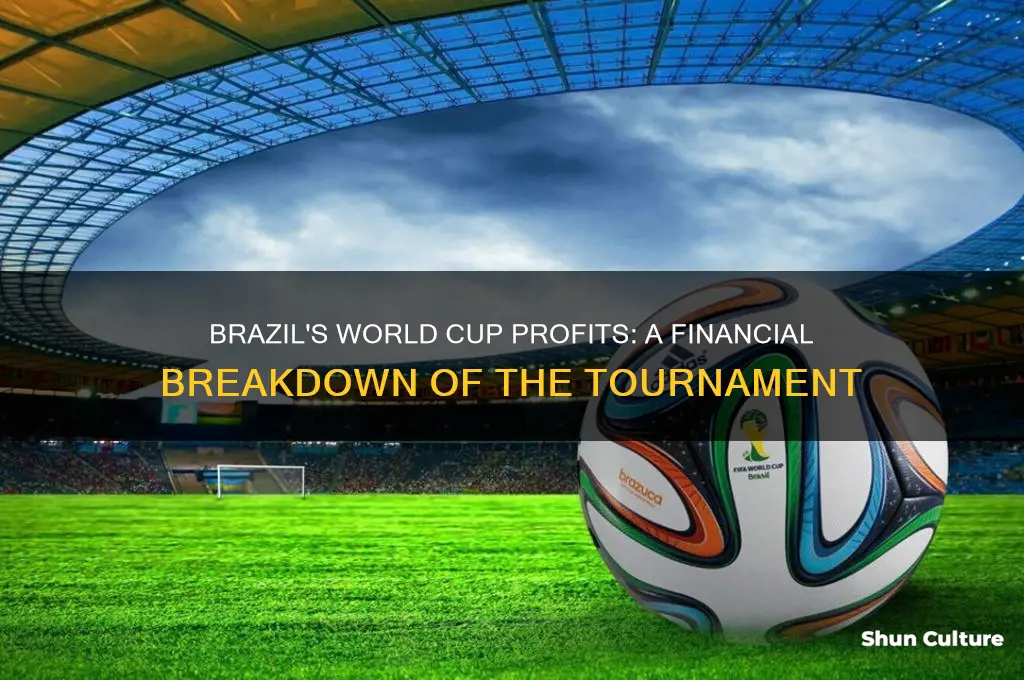 how much did brazil profit from world cup