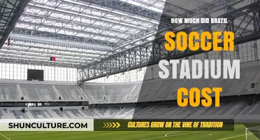 Brazil's Soccer Stadium Construction Costs: A Detailed Financial Breakdown