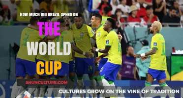 Brazil's World Cup Investment: Uncovering the Cost of Hosting the Tournament