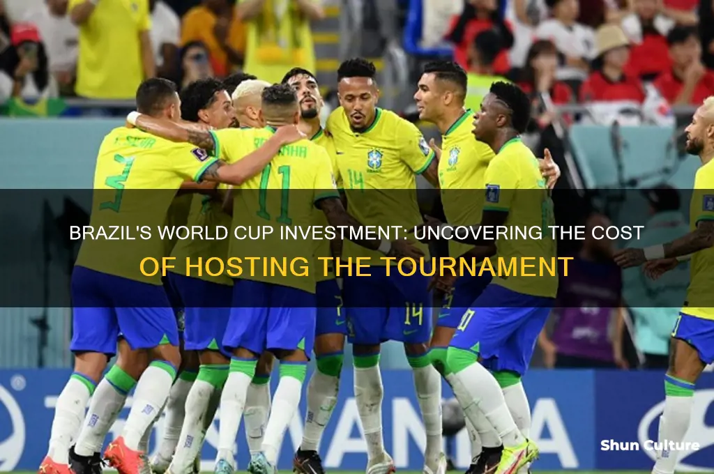 how much did brazil spend on the world cup