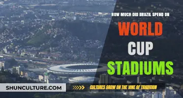 Brazil's World Cup Stadium Costs: A Financial Breakdown