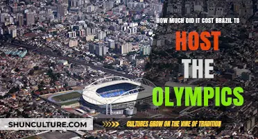 The Price of Glory: Brazil's Olympic Hosting Expenses Revealed