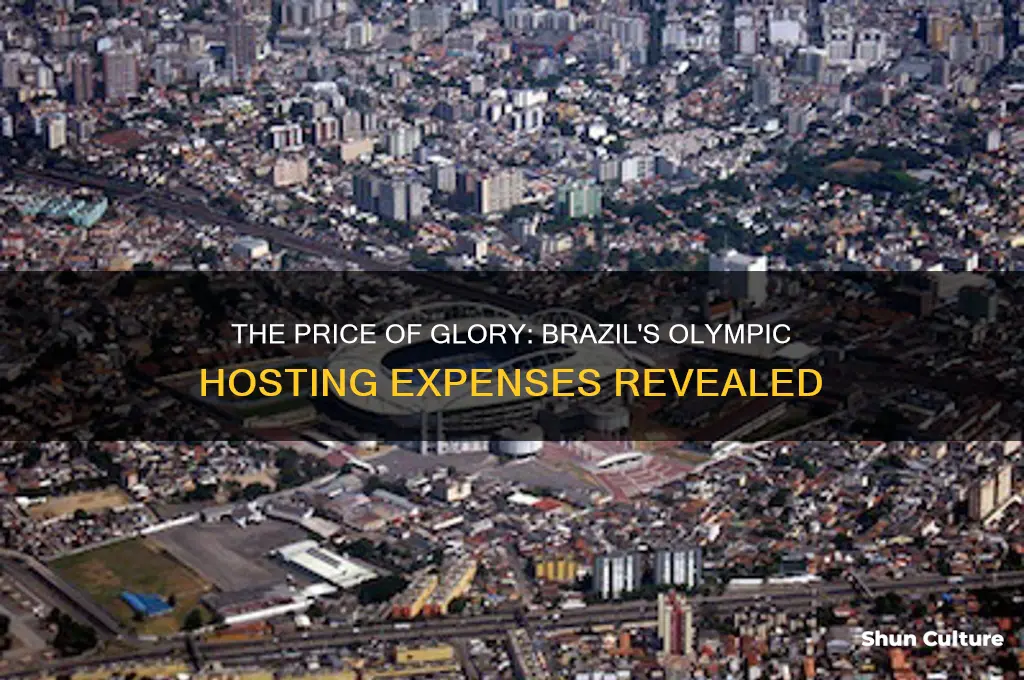 how much did it cost brazil to host the olympics