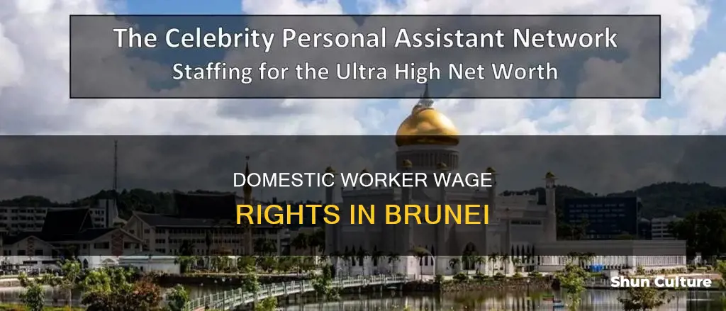 how much do a domestic worker earn in brunei