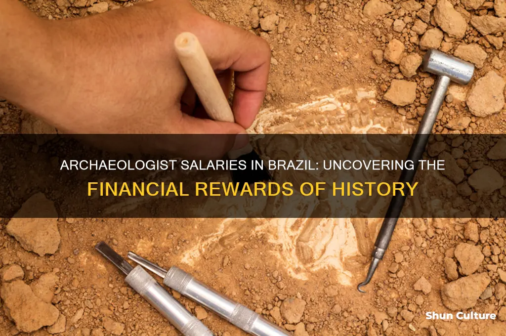how much do archaeologists make in brazil