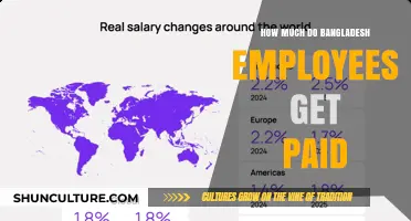 Average Salaries in Bangladesh: Understanding Employee Compensation and Trends