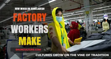 Bangladesh Factory Workers' Wages: Understanding Their Earnings and Challenges