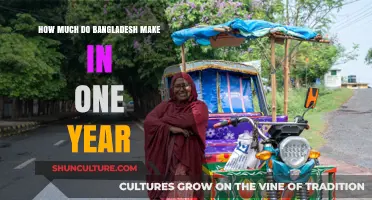 Bangladesh's Annual Earnings: Unveiling the Country's Yearly Revenue