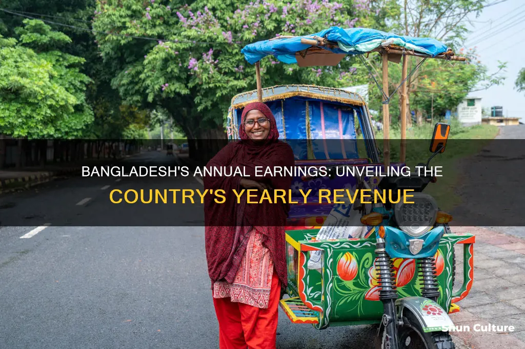 how much do bangladesh make in one year