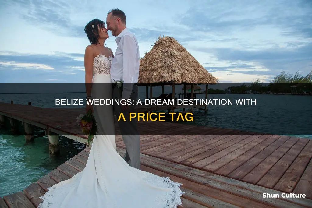 how much do belize weddings cost